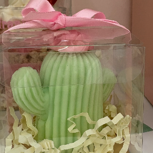 Cactus candle figure